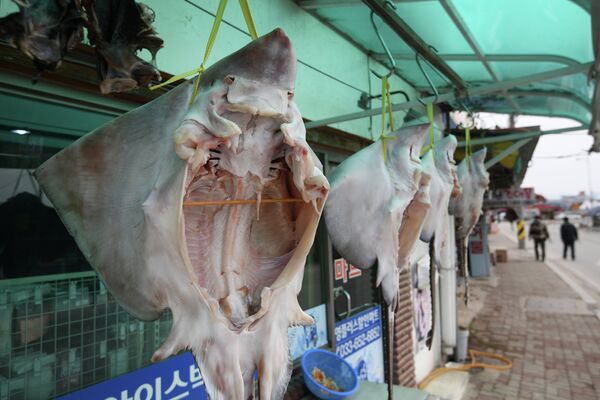 Рынок морепродуктов возле пляжа Gyeongpo Beach в городе Каннын, Республика Корея