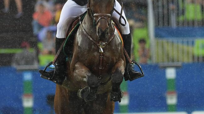 Цзюн Цзин Хва