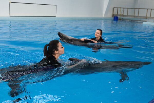 Девушки во время сеанса плавания с дельфинами