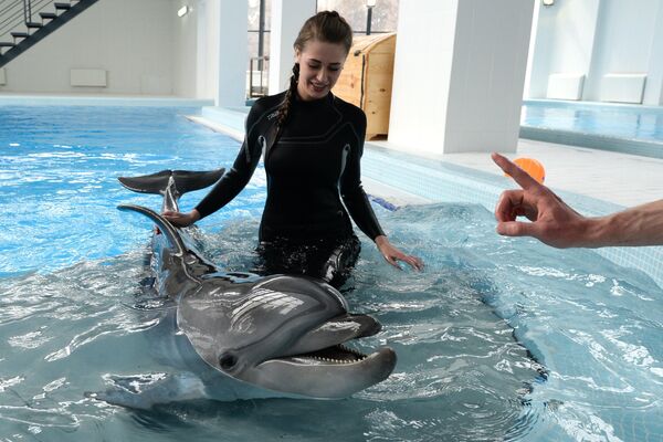 Девушка во время сеанса плавания с дельфином