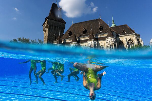 Синхронное плавание на чемпионате мира по водным видам спорта в Будапеште
