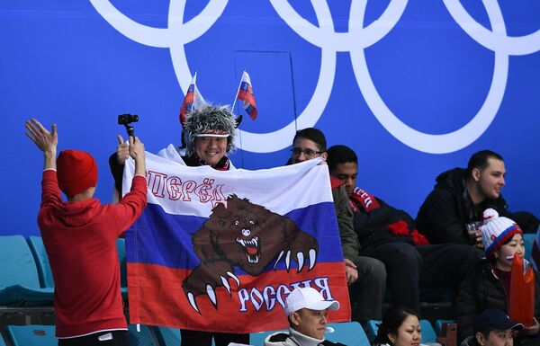 Болельщики во время хоккейного матча Россия - США