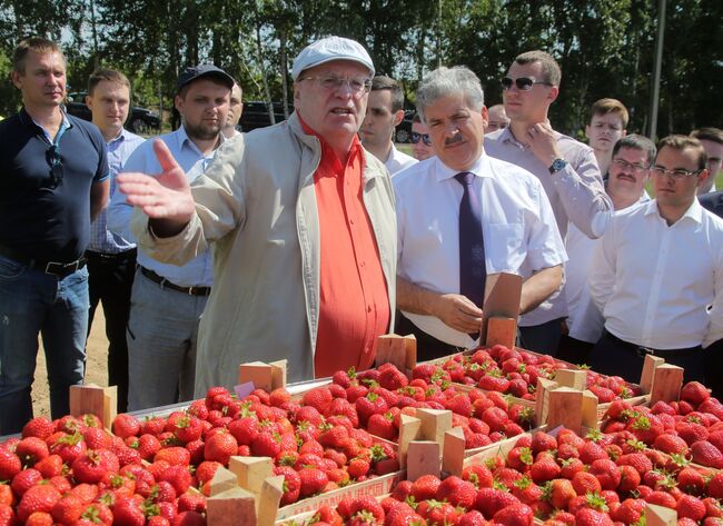 Владимир Жириновский и Павел Грудинин