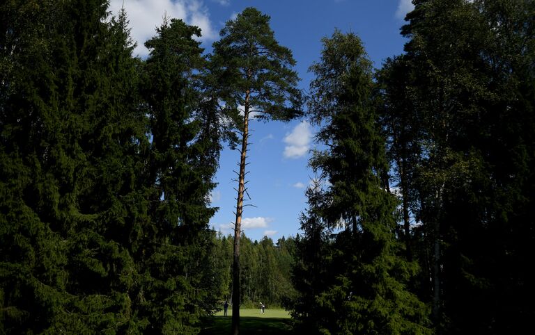 Участники этапа Евротура VTB Russian Open Golf Championship в Нахабино