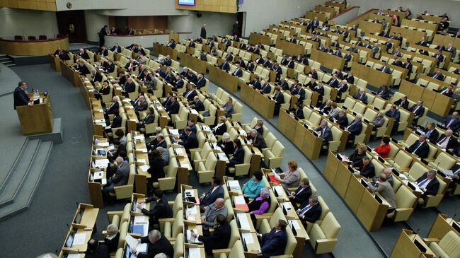 Пленарное заседание Госдумы РФ
