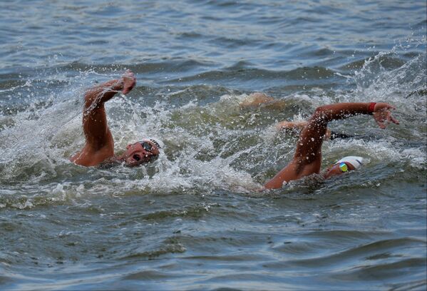 Спортсмены на дистанции 10 км на открытой воде в финальных соревнованиях по плаванию