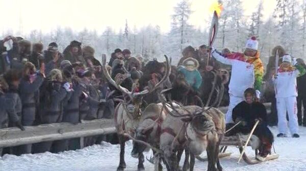 Олени и собаки провезли факелоносцев с олимпийским огнем на Ямале