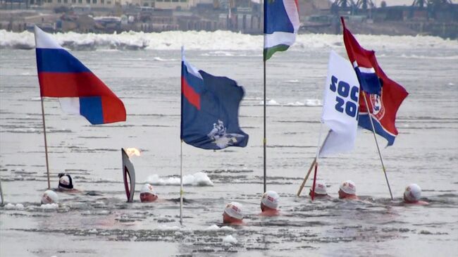 Моржи с олимпийском огнем проплыли по Амуру на эстафете в Благовещенске