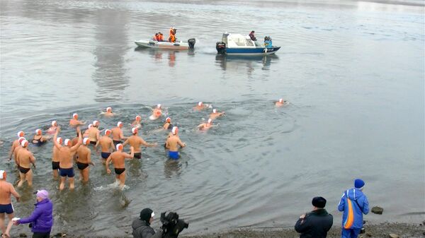 Тридцать моржей проплыли по Енисею за факелоносцем ОИ-2014