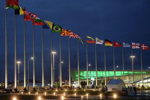 Флаги национальных сборных стран - участниц XXII Олимпийских зимних игр