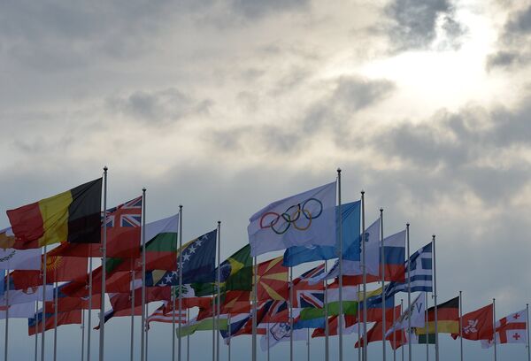 Флаги национальных сборных стран - участниц Олимпиады 2014