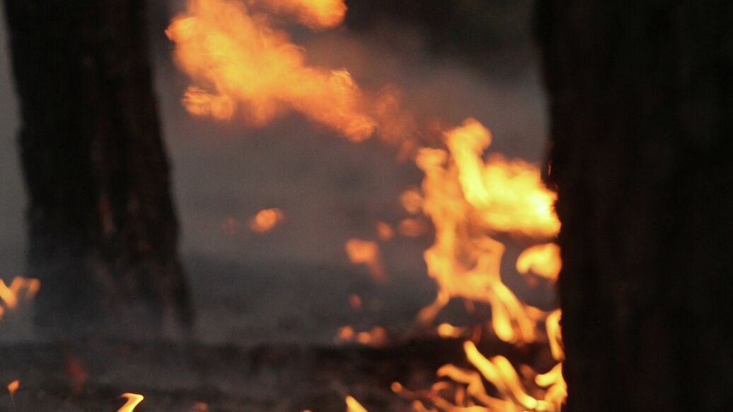 В России потушили 43 природных пожара за сутки