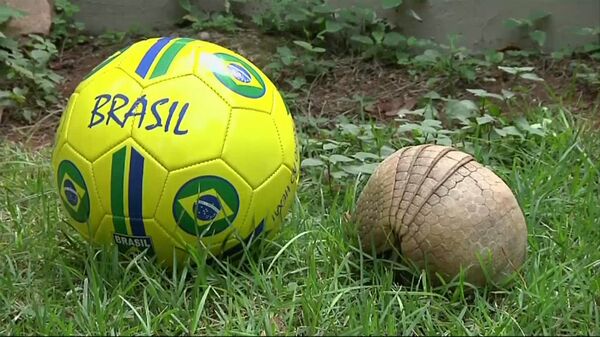 Броненосец Ана показала, почему стала символом ЧМ по футболу в Бразилии