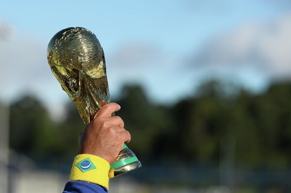 Макет Кубка мира в руке бразильского болельщика в Сан-Паулу