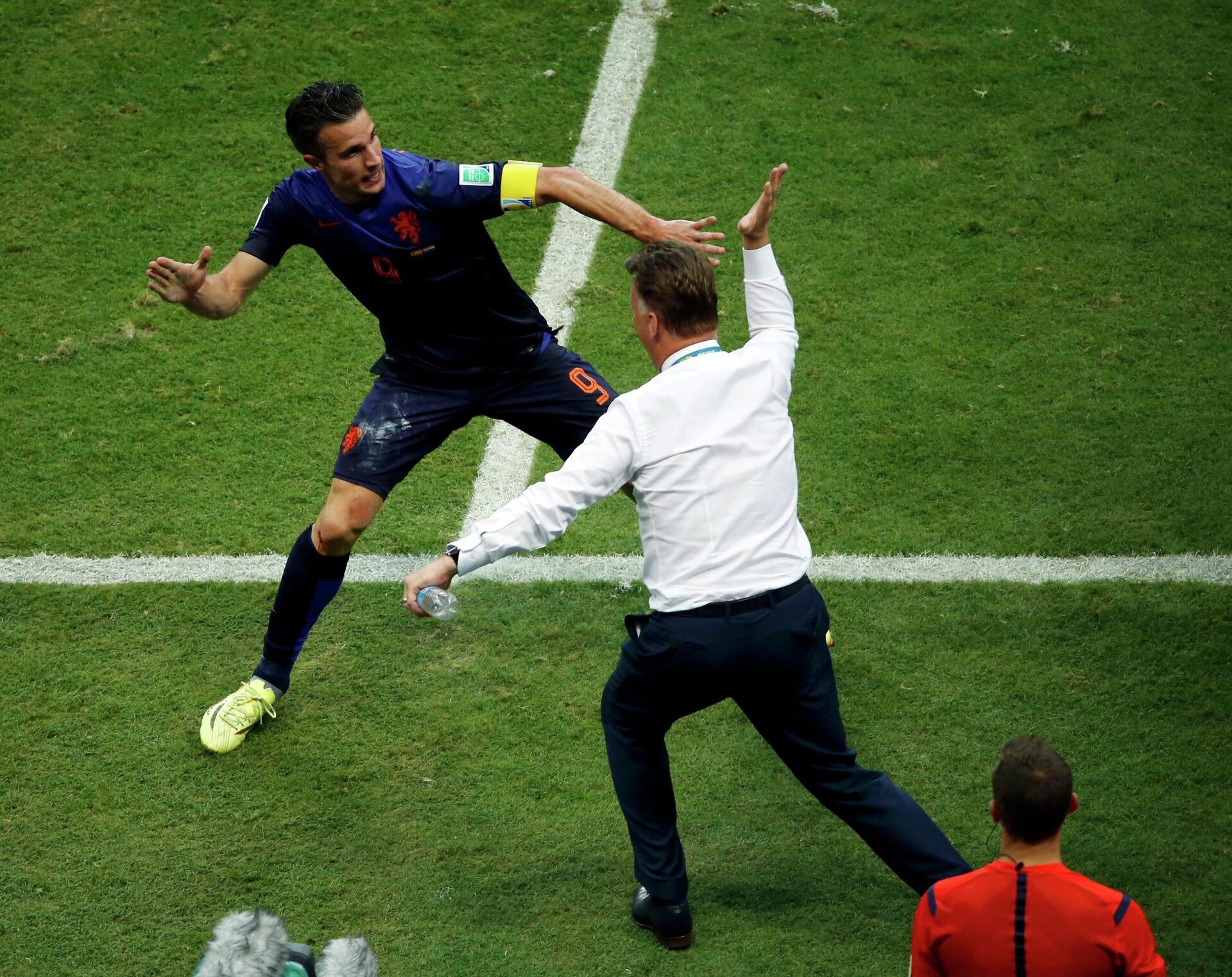 Van Persie 2014