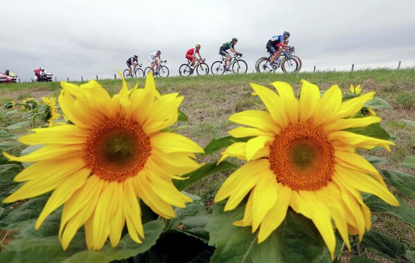 Группа велогонщиков следует на седьмом этапе Тур де Франс из Эперне в Нанси