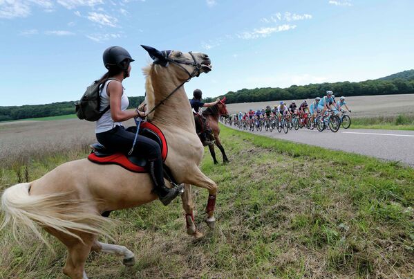 Велогонщики во время одиннадцатого этапа Тур де Франс между городами Безансон и Ойонна