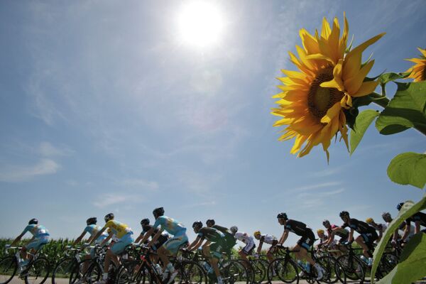 Велогонщики на участке тринадцатого этапа Тур де Франс между городами Сент-Этьен и Шанрус