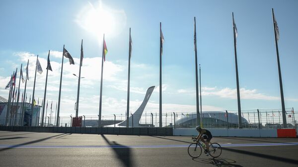 Вид на олимпийский парк в Сочи