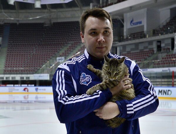 Новый талисман хоккейного клуба Адмирал кошка Матроскина (известная как кот-гурман из аэропорта Владивостока) на руках видеооператора клуба Михаила Быкова