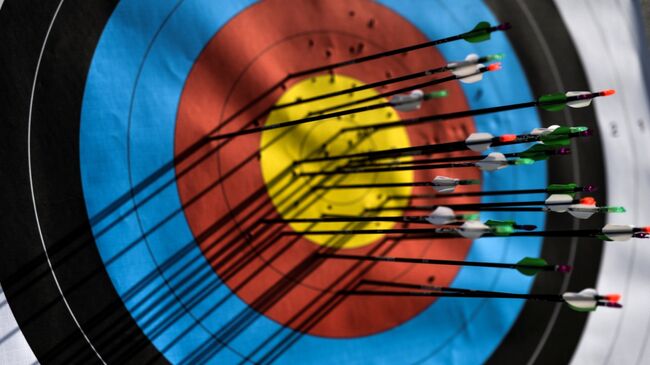 Мишень со стрелами во время соревнований по стрельбе из лука на I Европейских играх в Баку