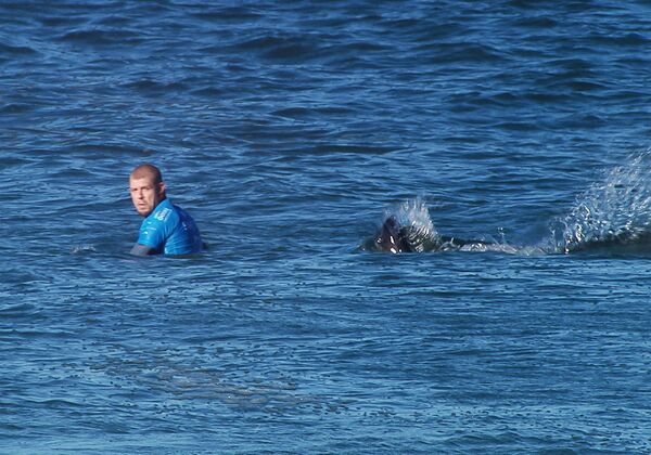 Трехкратный чемпион мира по серфингу австралиец Мик Фэннинг подвергся нападению акулы