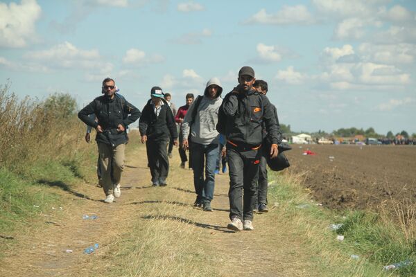 Беженцы переходят сербско-венгерскую границу в районе поселока Рёске, область Чонград.