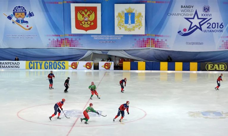 Хоккей с мячом. Чемпионат мира. Матч Белоруссия - Норвегия Хоккей с мячом. Чемпионат мира. Матч Белоруссия - Норвегия