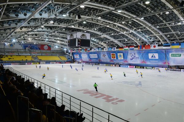 Эпизод матча группового этапа чемпионата мира по хоккею с мячом между сборными командами Швеции и Финляндии в Ульяновске