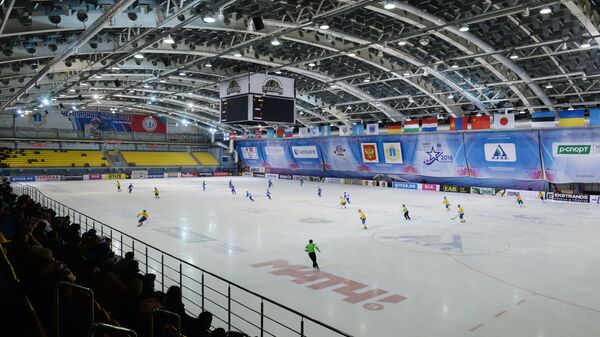 Эпизод матча группового этапа чемпионата мира по хоккею с мячом между сборными командами Швеции и Финляндии в Ульяновске