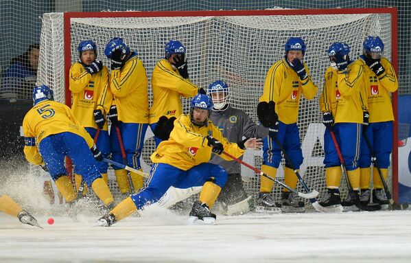 Игроки сборной Швеции по хоккею с мячом