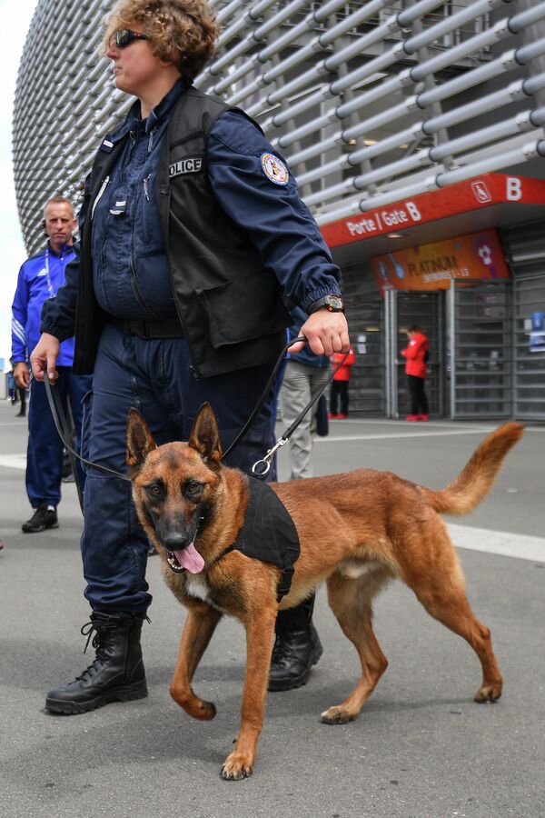 Сотрудники полиции со служебной собакой у стадиона перед началом матча