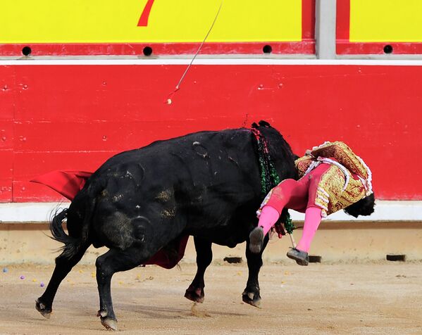 Перуанский матадор Андрес Роса Рей атакован быком во время корриды на традиционном фестивале Сан-Фермин в Памплоне
