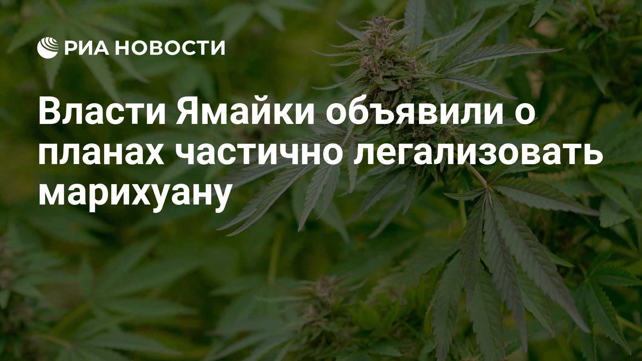 Легализовать марихуану кыргызстан вещества из марихуаны