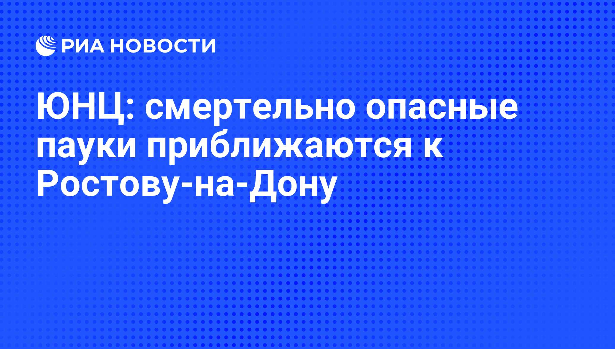 ЮНЦ: смертельно опасные пауки приближаются к Ростову-на-Дону - РИА Новости,  02.03.2020