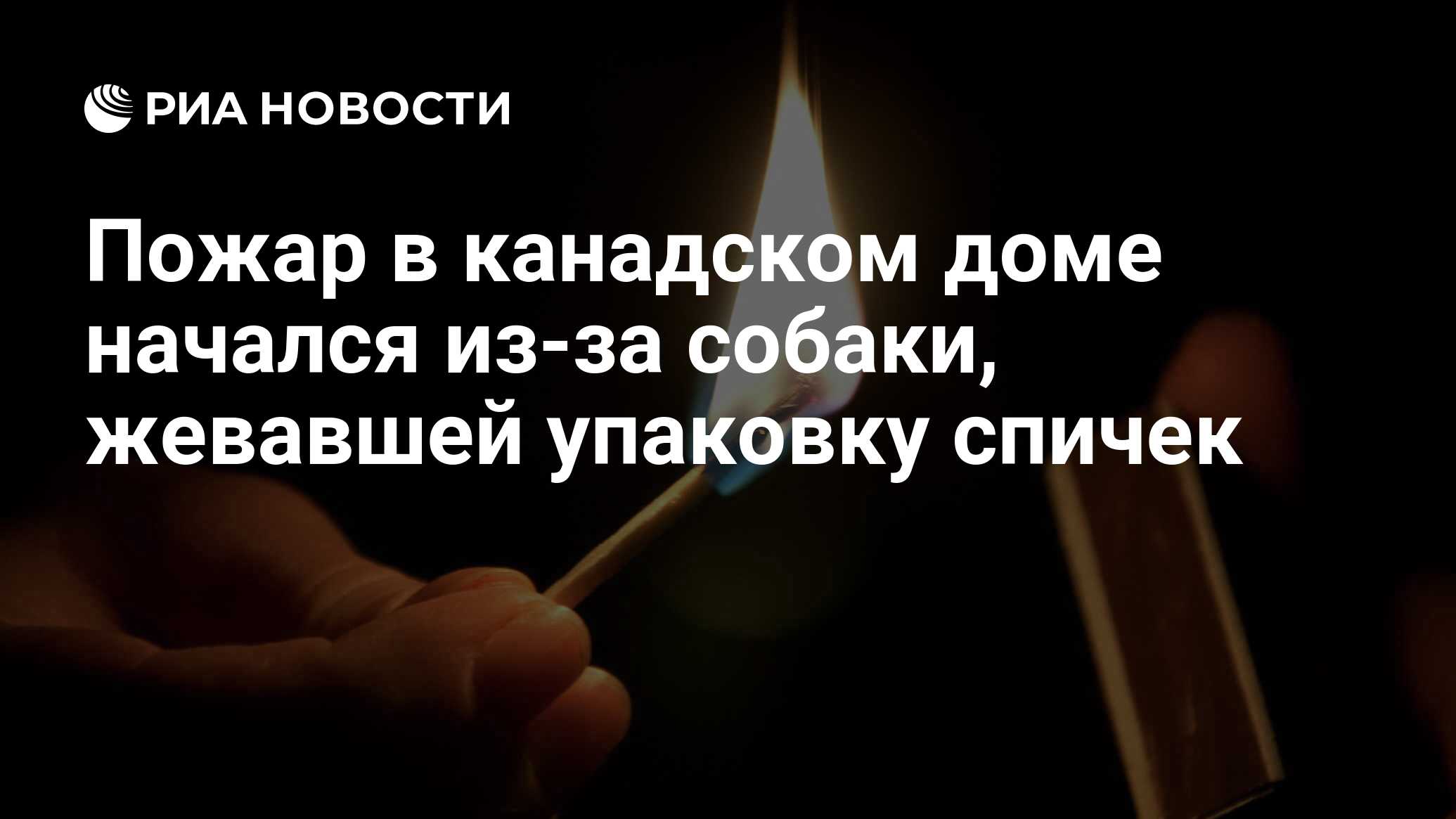 Пожар в канадском доме начался из-за собаки, жевавшей упаковку спичек - РИА  Новости, 12.12.2014