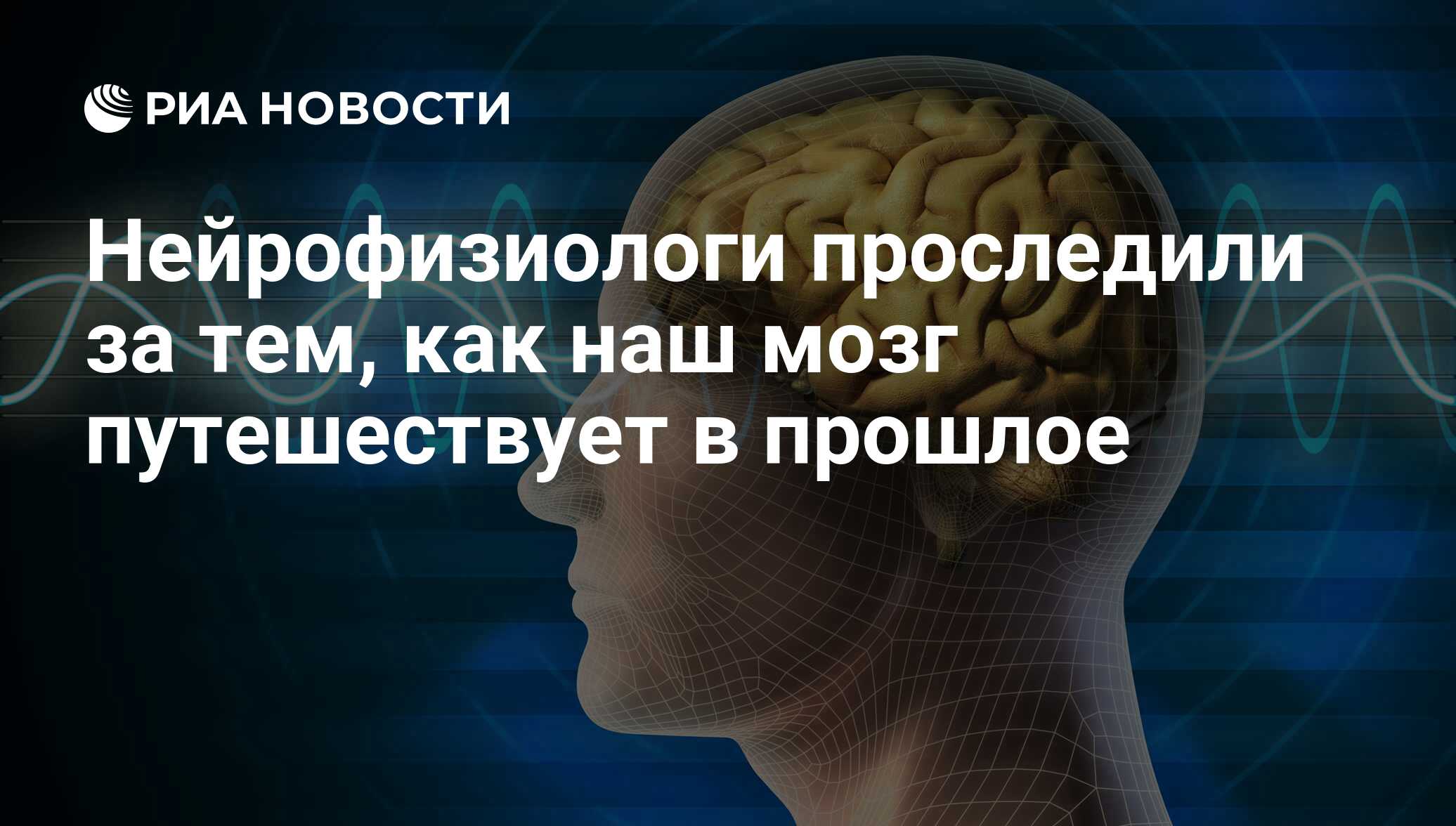 Ученые изучающие мозг