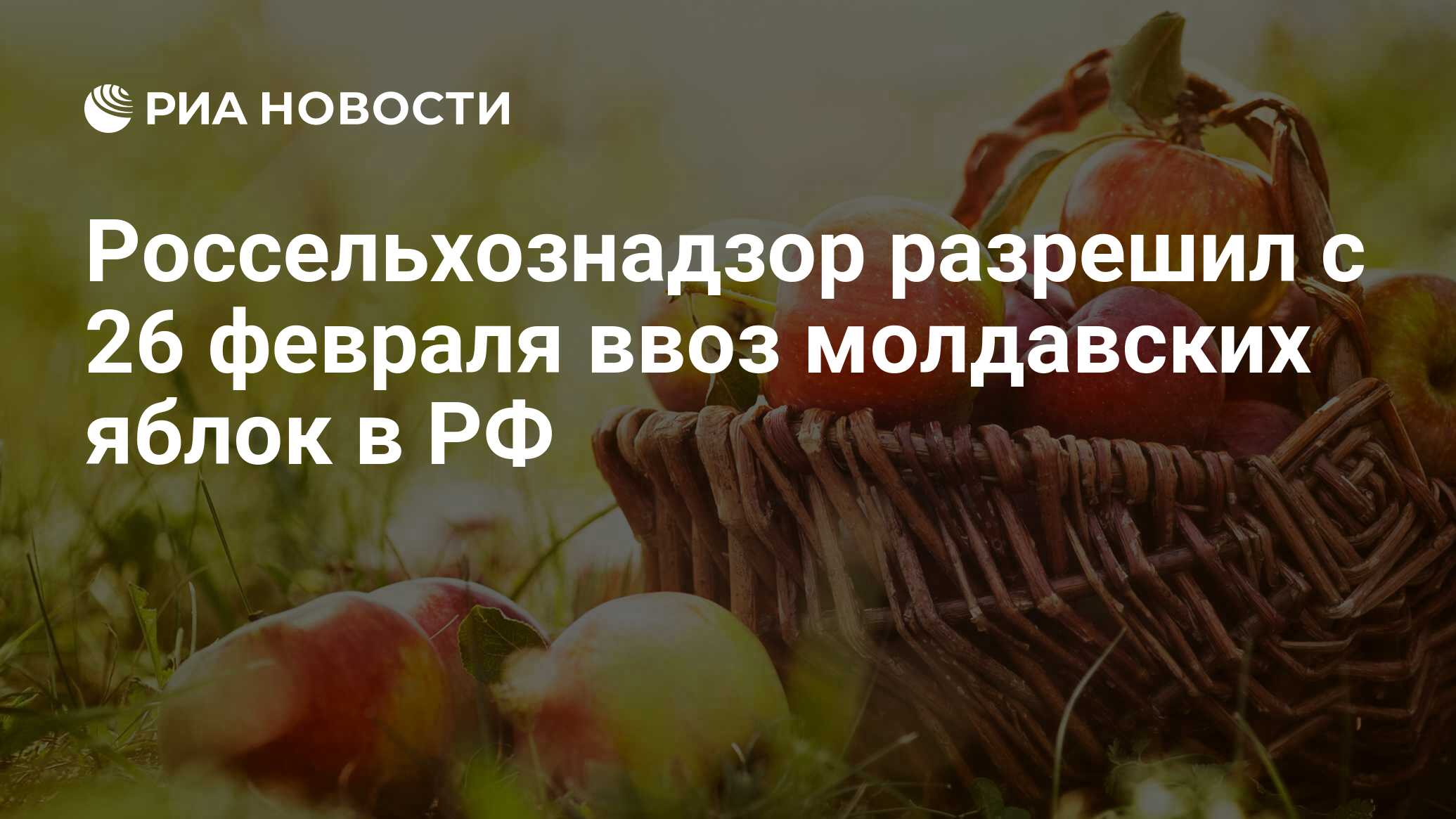 Осенние Яблоки Картинки