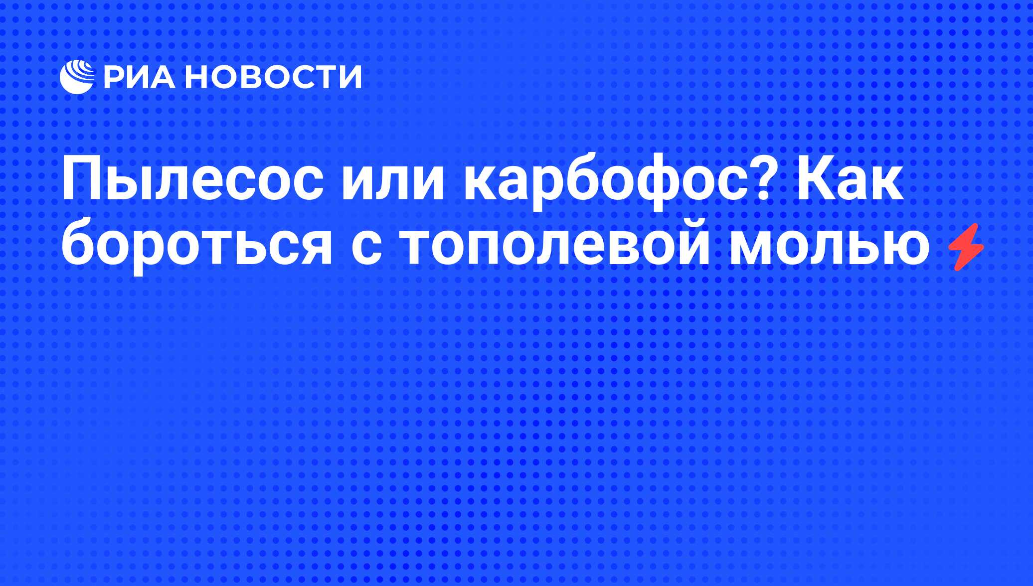 Пылесос или карбофос? Как бороться с тополевой молью - РИА Новости,  03.08.2008