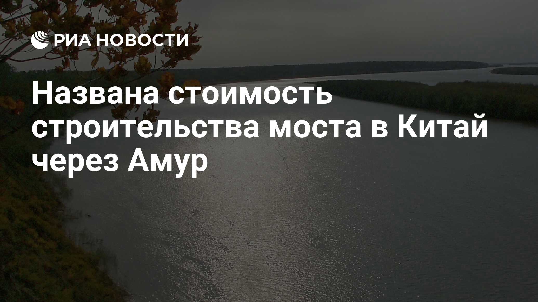 Названа стоимость строительства моста в Китай через Амур - РИА Новости,  02.03.2020