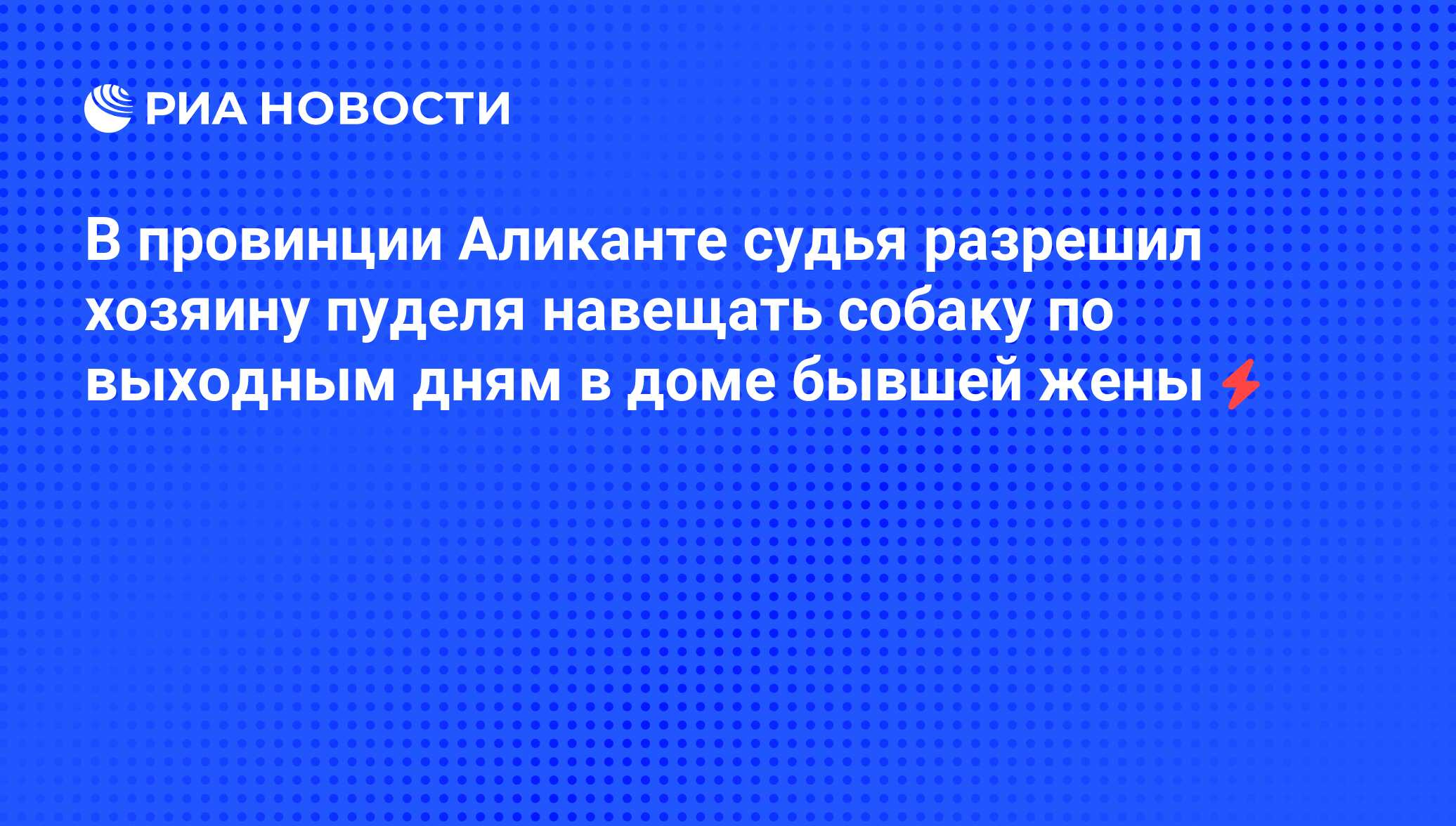 В провинции Аликанте судья разрешил хозяину пуделя навещать собаку по  выходным дням в доме бывшей жены - РИА Новости, 05.06.2008