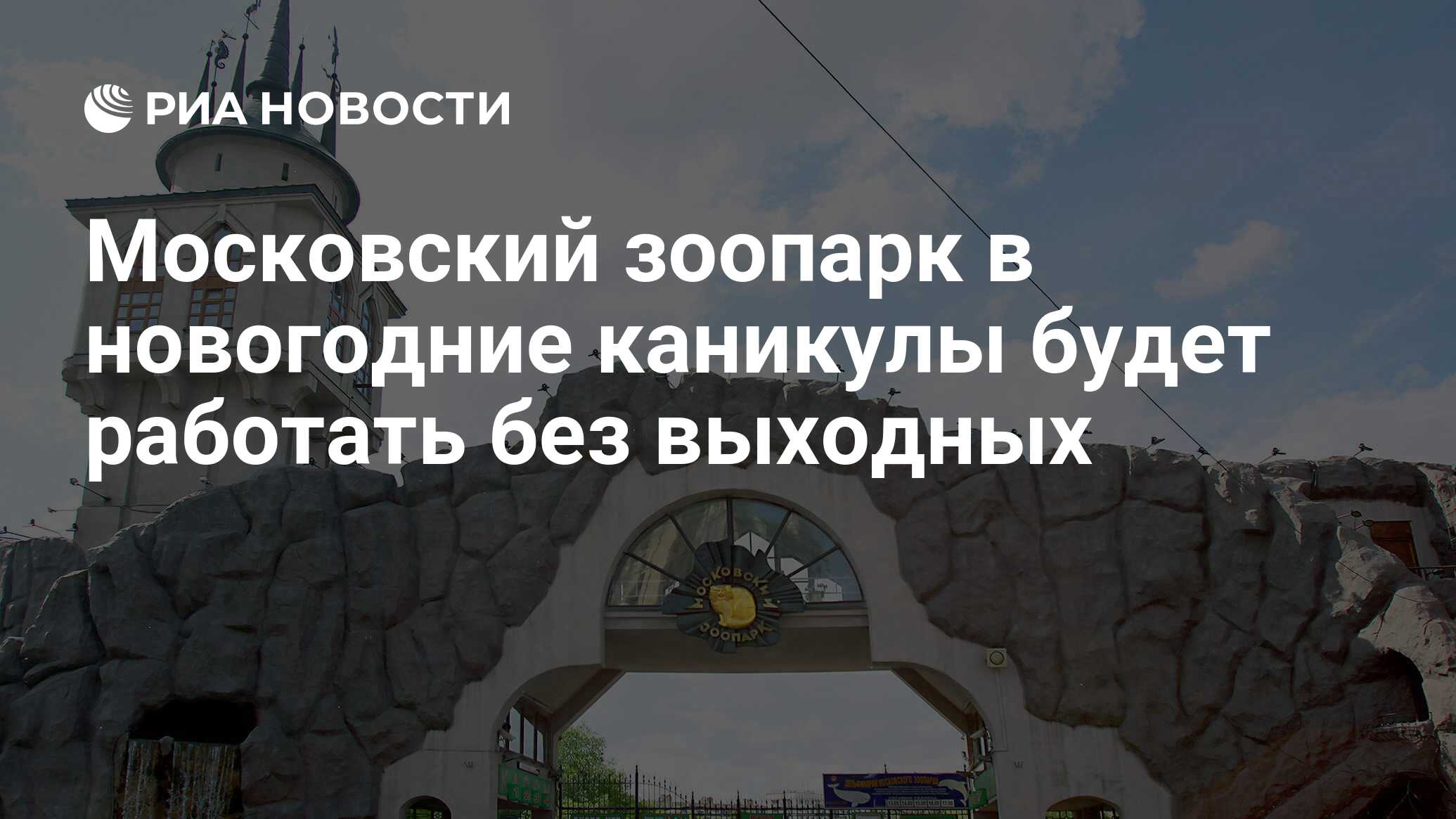 Московский зоопарк в новогодние каникулы будет работать без выходных - РИА  Новости, 31.12.2016