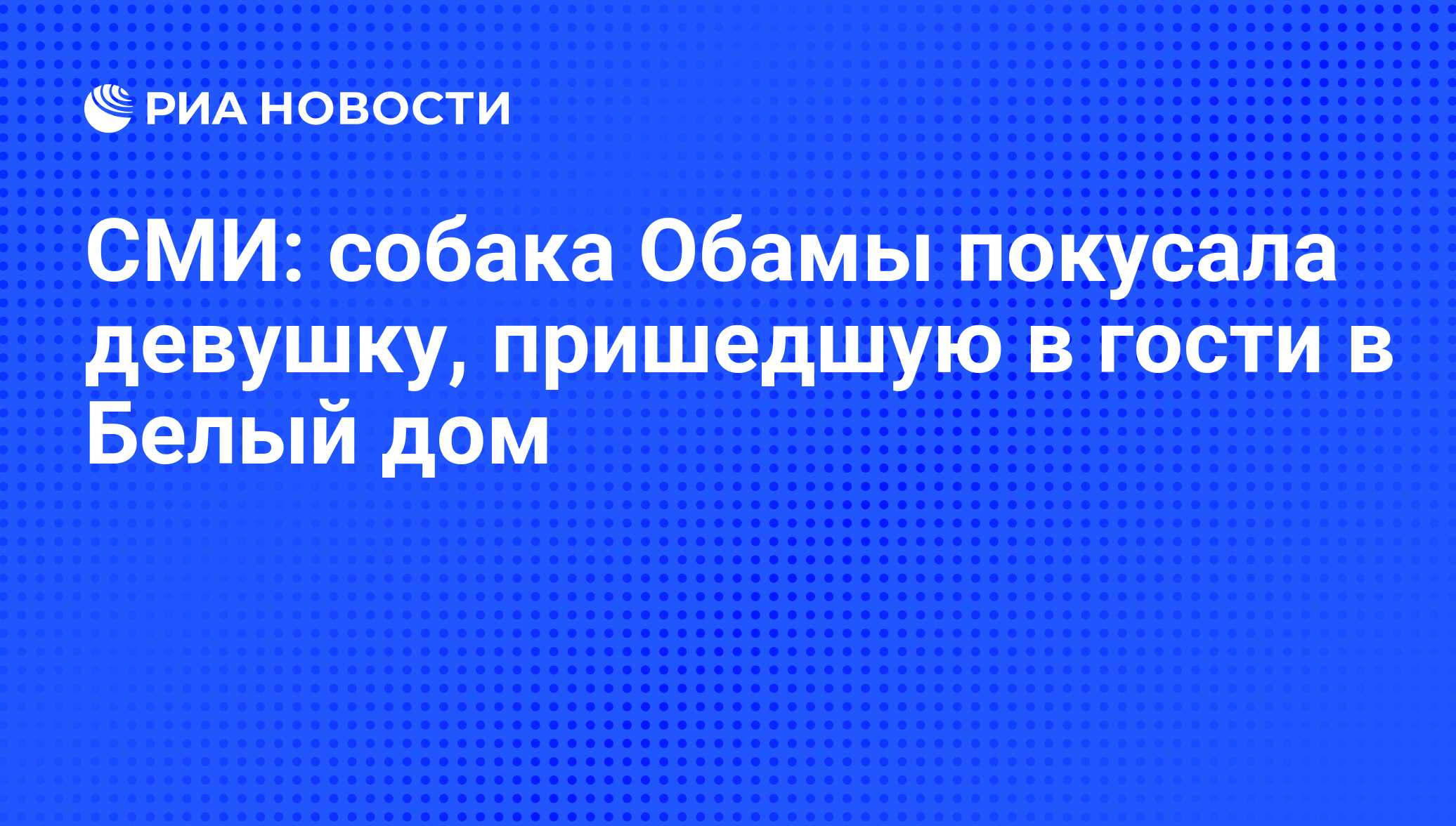 СМИ: собака Обамы покусала девушку, пришедшую в гости в Белый дом - РИА  Новости, 13.01.2017