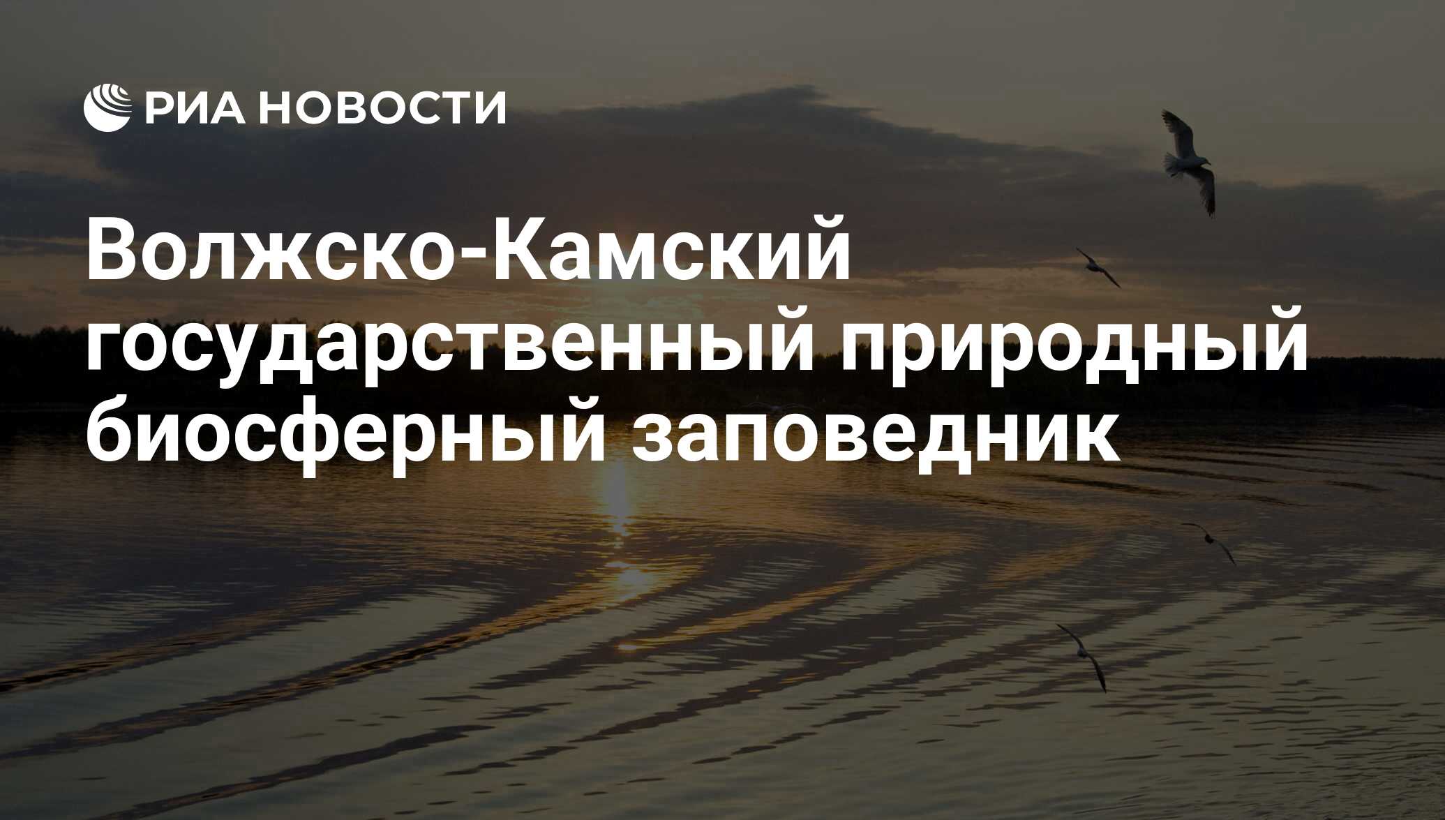 Волжско камский государственный природный биосферный заповедник презентация