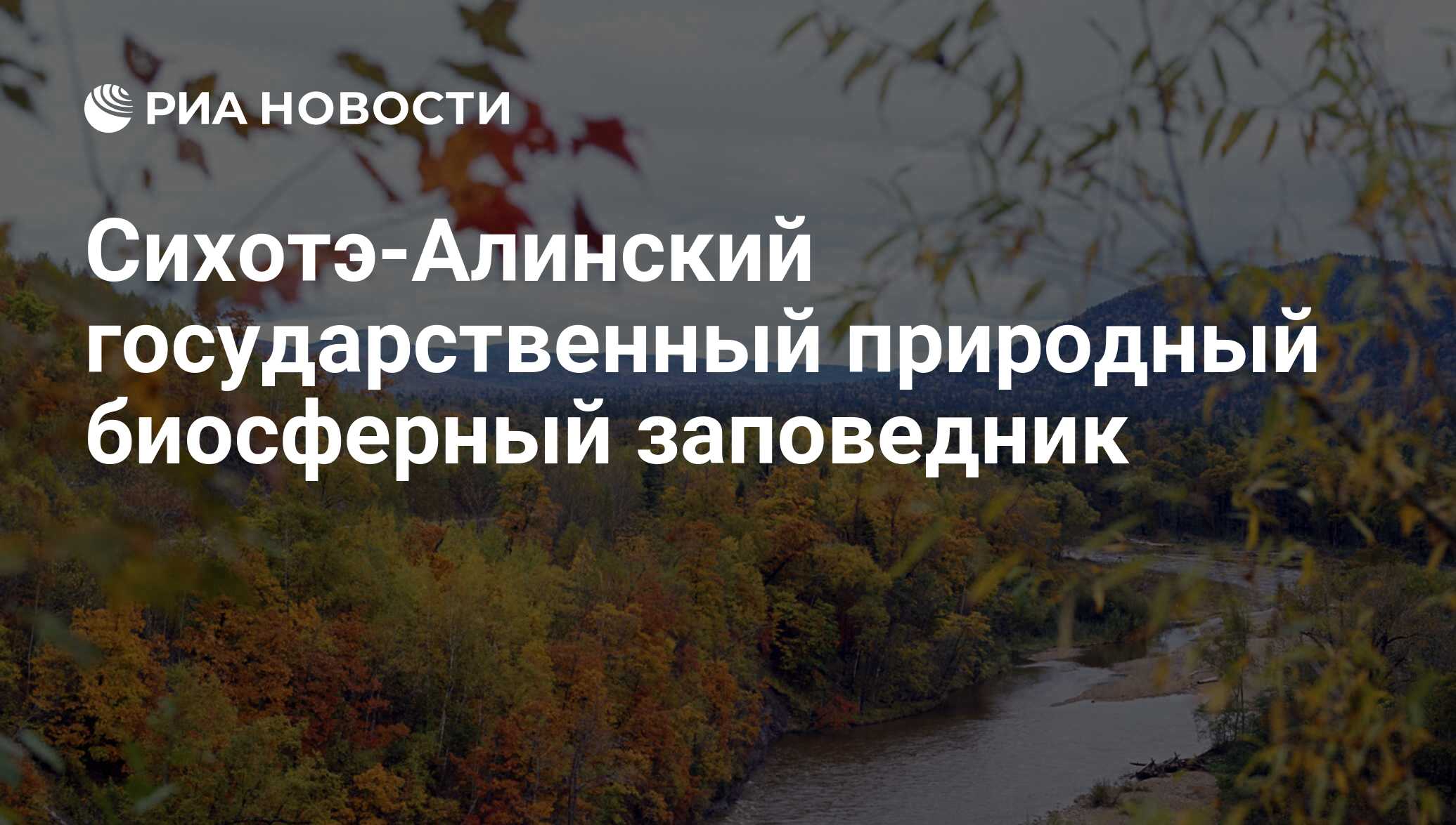 Сихотэ-Алинский государственный природный биосферный заповедник - РИА  Новости, 07.02.2017