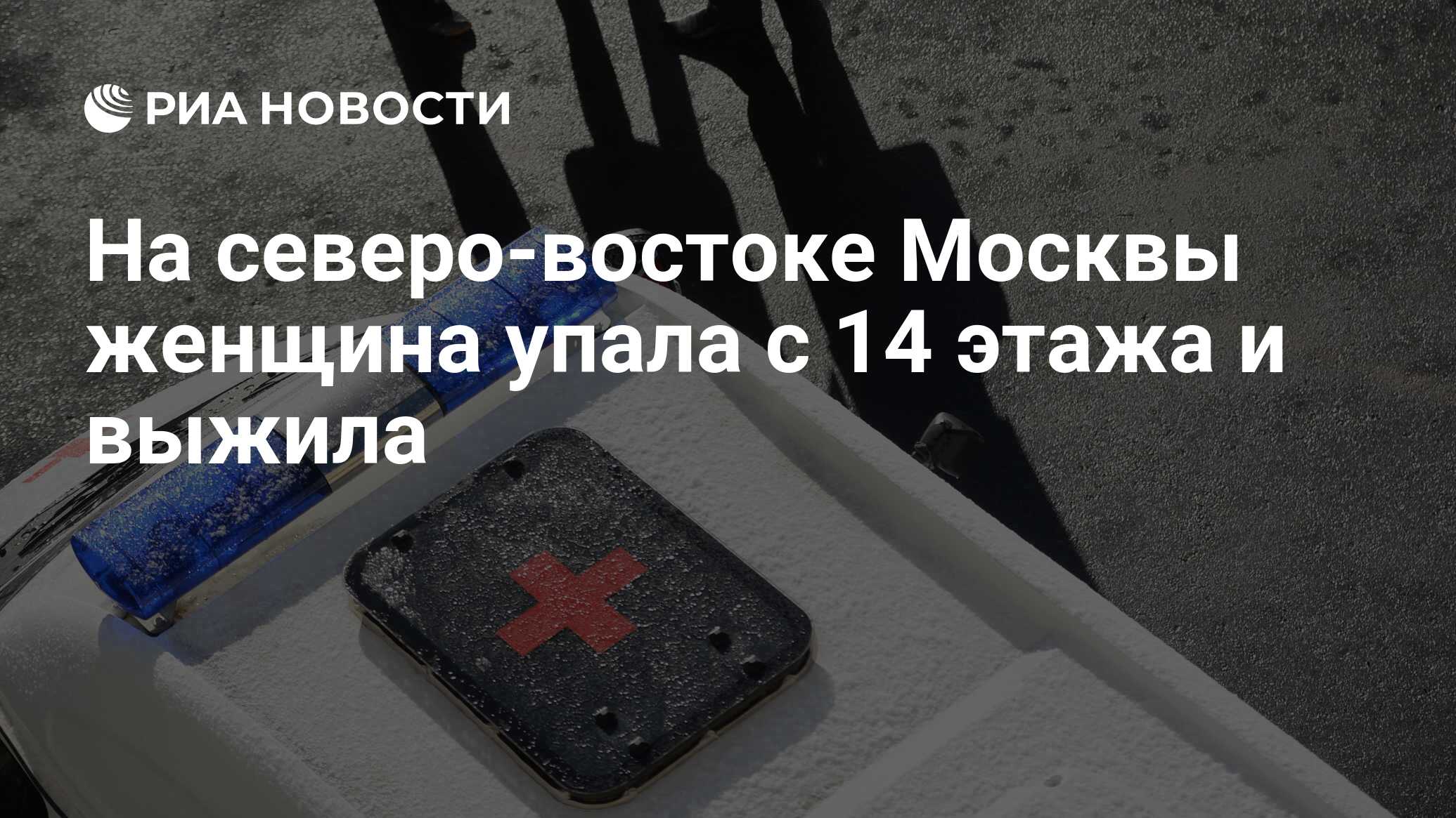 На северо-востоке Москвы женщина упала с 14 этажа и выжила - РИА Новости,  31.01.2017