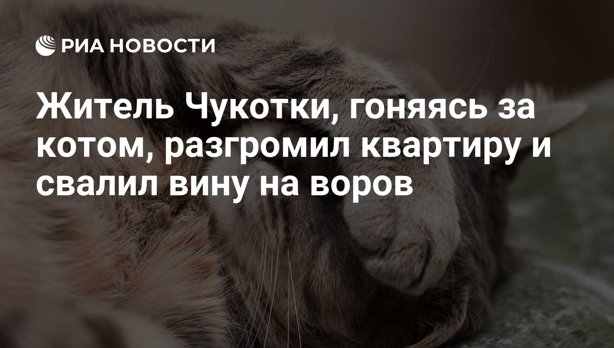 Житель Чукотки, гоняясь за котом, разгромил квартиру и свалил вину на воров  - РИА Новости, 10.02.2017