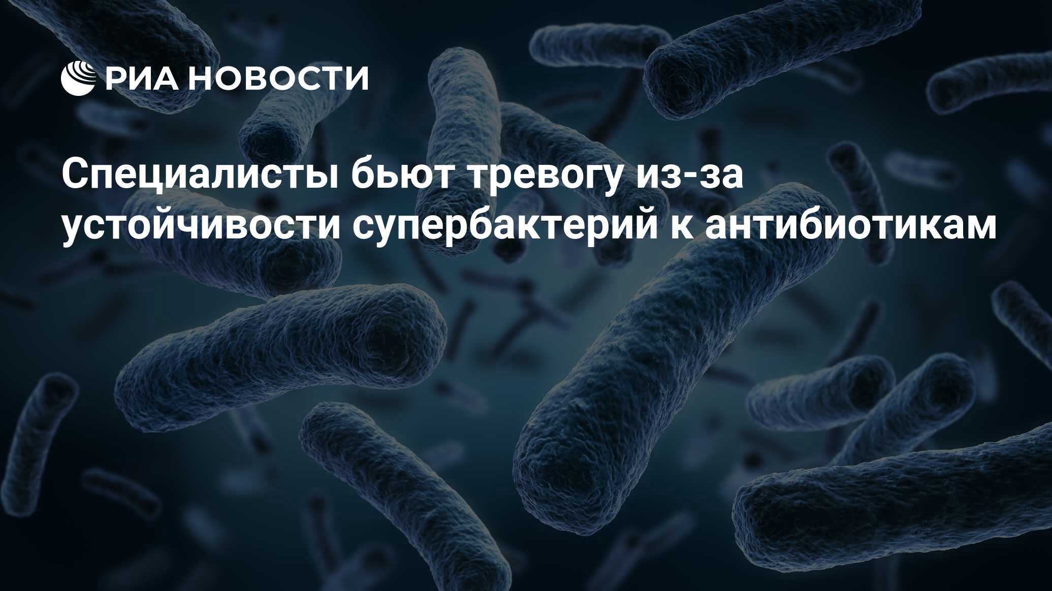 Что такое супербактерия определение. Что такое супербактерия определение