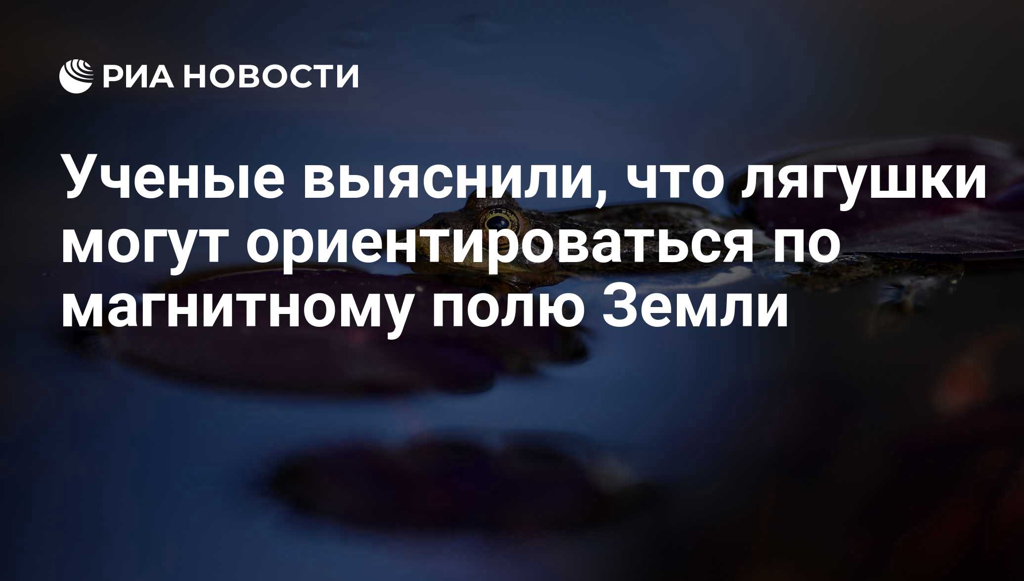 Ученые выяснили, что лягушки могут ориентироваться по магнитному полю Земли  - РИА Новости, 03.03.2020