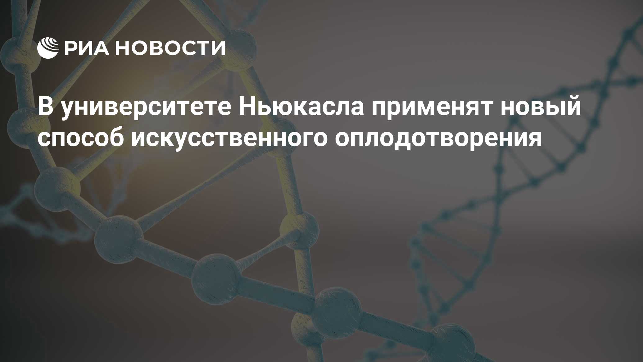 Biyo ar1338. функции нуклеиновых кислот биология 8 класс. синтез белка в клетке. днк 3 10. днк 3 10.